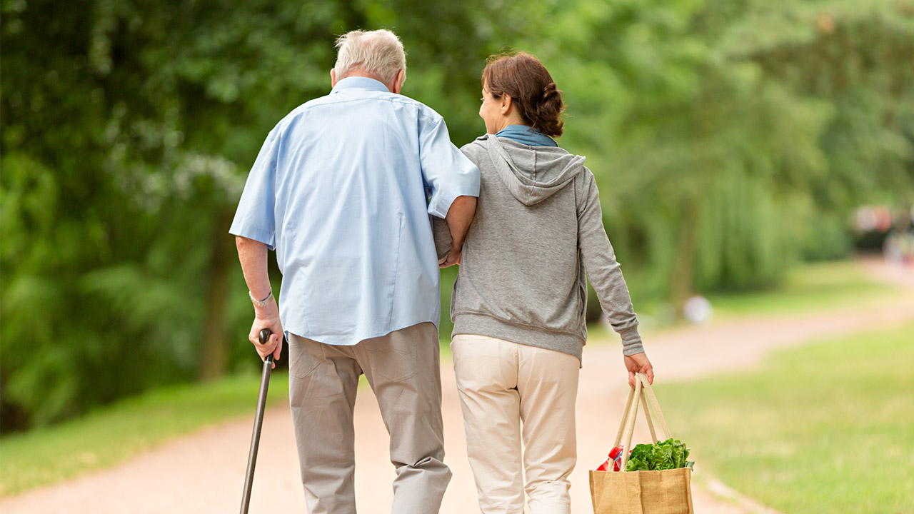 Fraternit&agrave; Sistemi - Bando disabilit&agrave;
