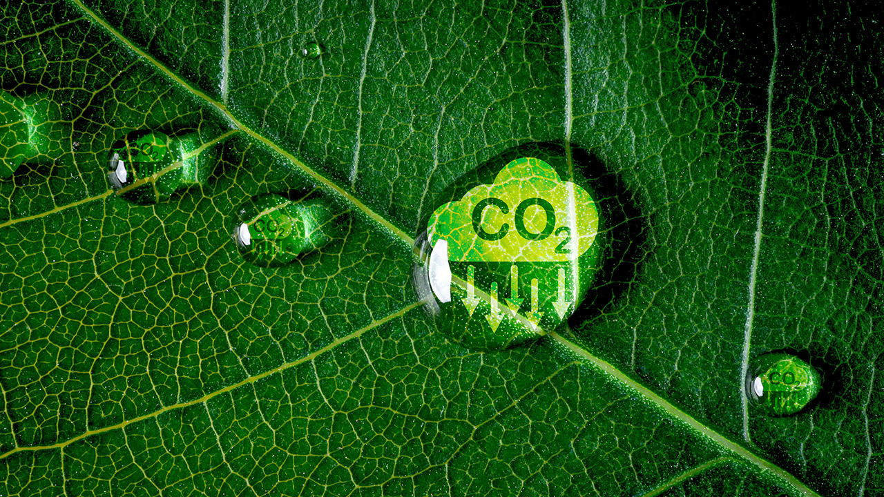 Fraternit&agrave; Sistemi - Riduzione della Co2